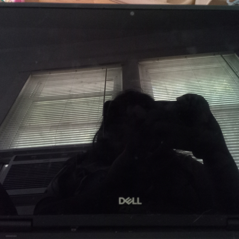 Dell Black Laptop